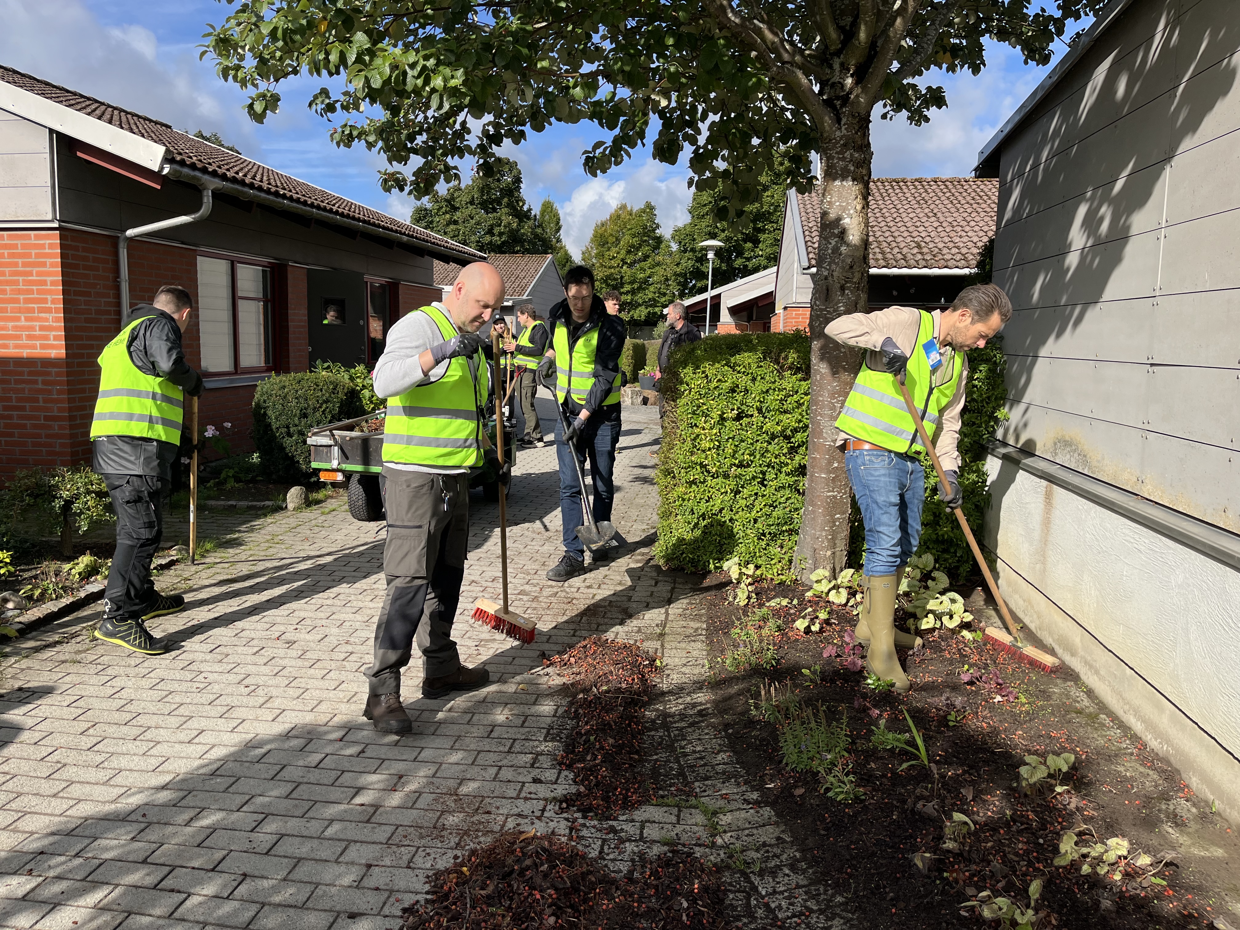medarbetare i gula västar sopar löv i bostadsområde i solen