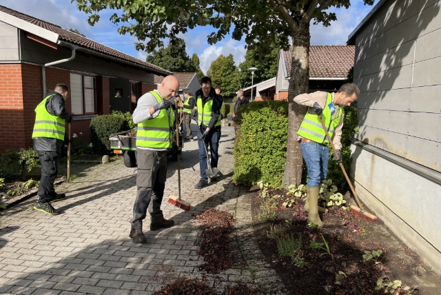 medarbetare i gula västar sopar löv i bostadsområde i solen