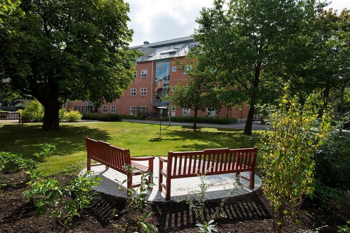 En utomhusmiljö med en röd träbänk placerad på en vit plattform, omgiven av grönska. I bakgrunden s