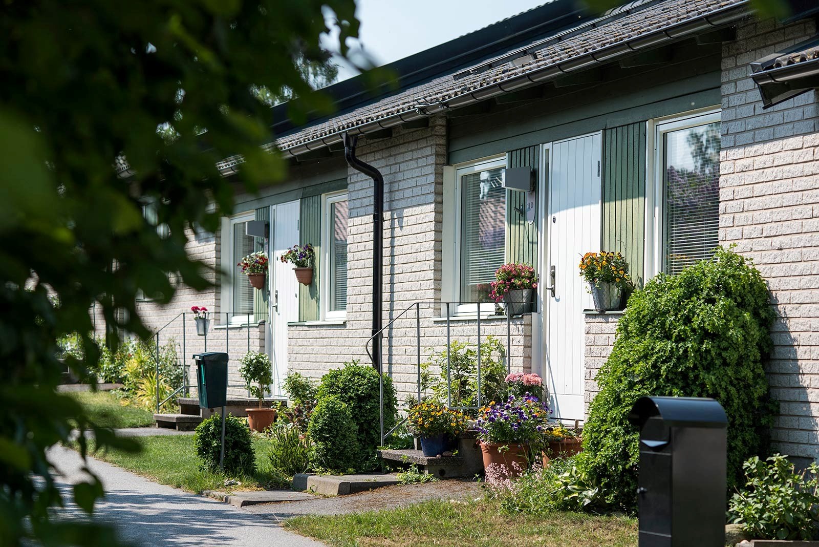 Ett radhus med en trädgård framför. Huset har vita tegelväggar och stora fönster med blomkrukor på fönsterbrädorna. I trädgården finns olika växter och blommor, inklusive en stor grön buske nära huset.