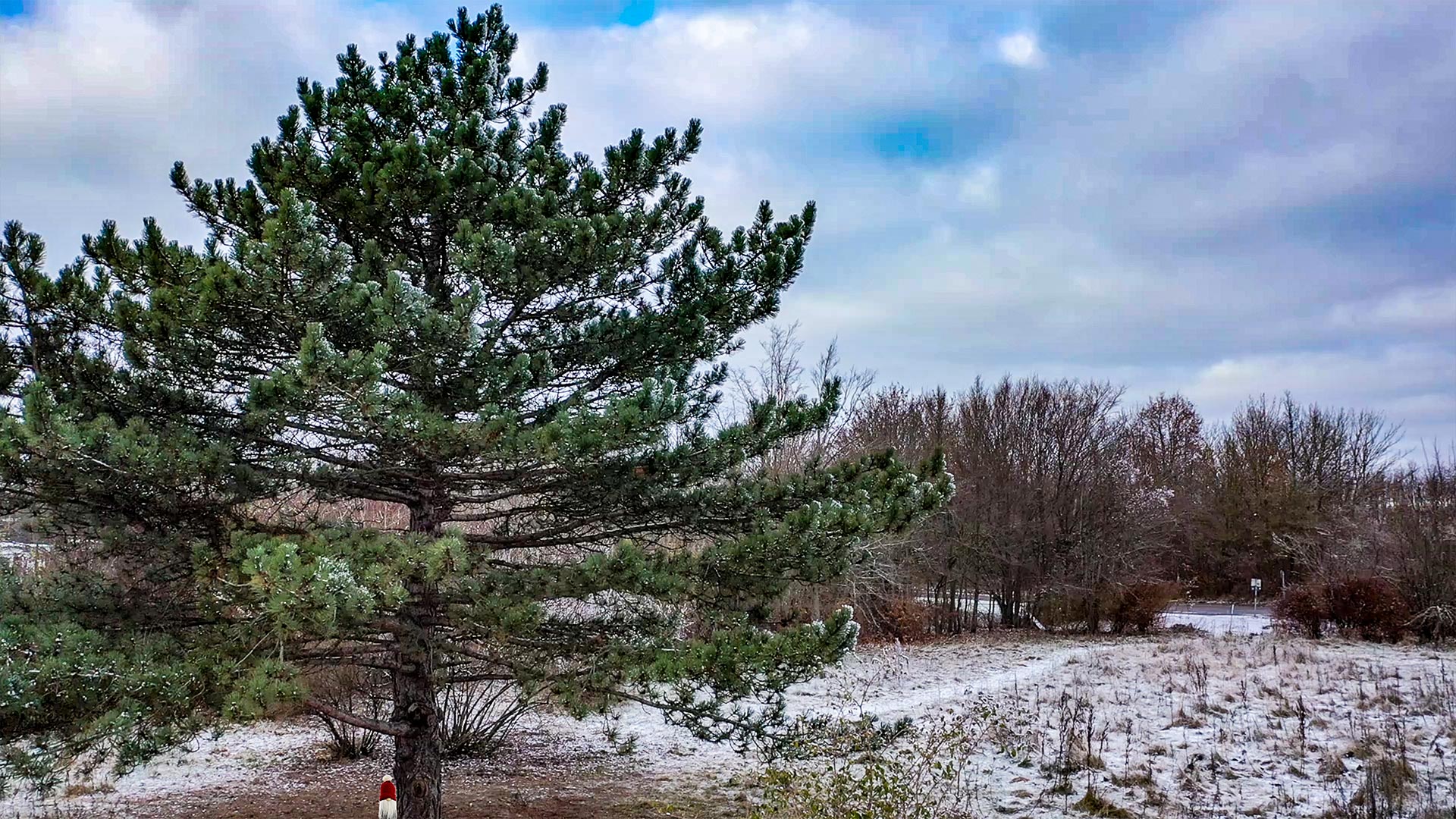 Svarttallen på innergården, det är lite snö på marken