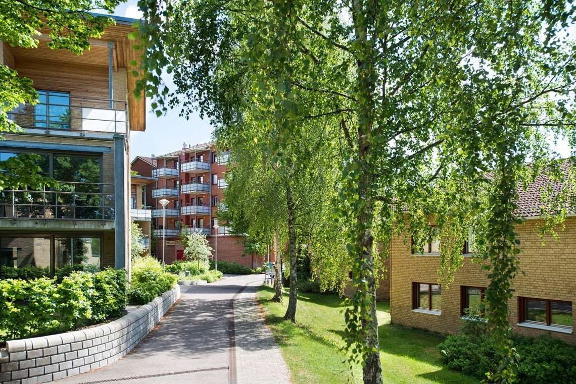 Några fastigheter som ligger längs en väg